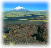 Reserva Payunia - Pampas Negras - Volcanes - Malarge - Mendoza - Argentina