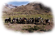 Los Andes Mountains Cavalcade - Malargue Mendoza Argentina