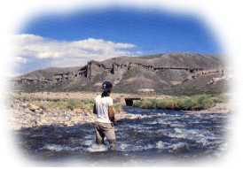 Castillos de Pincheira - Malargue (Malarge) Mendoza Argentina