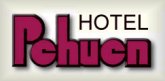 Hotel Pehuen Malargue Mendoza Argentina