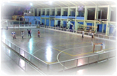 Estadio Polideportivo Malarge (Malargue) - Mendoza - Argentina